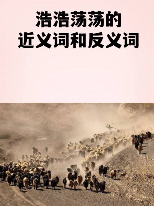 2鶄&;.b|)愤的简单介绍